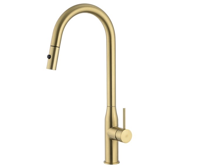 תמונה 1 של 304672